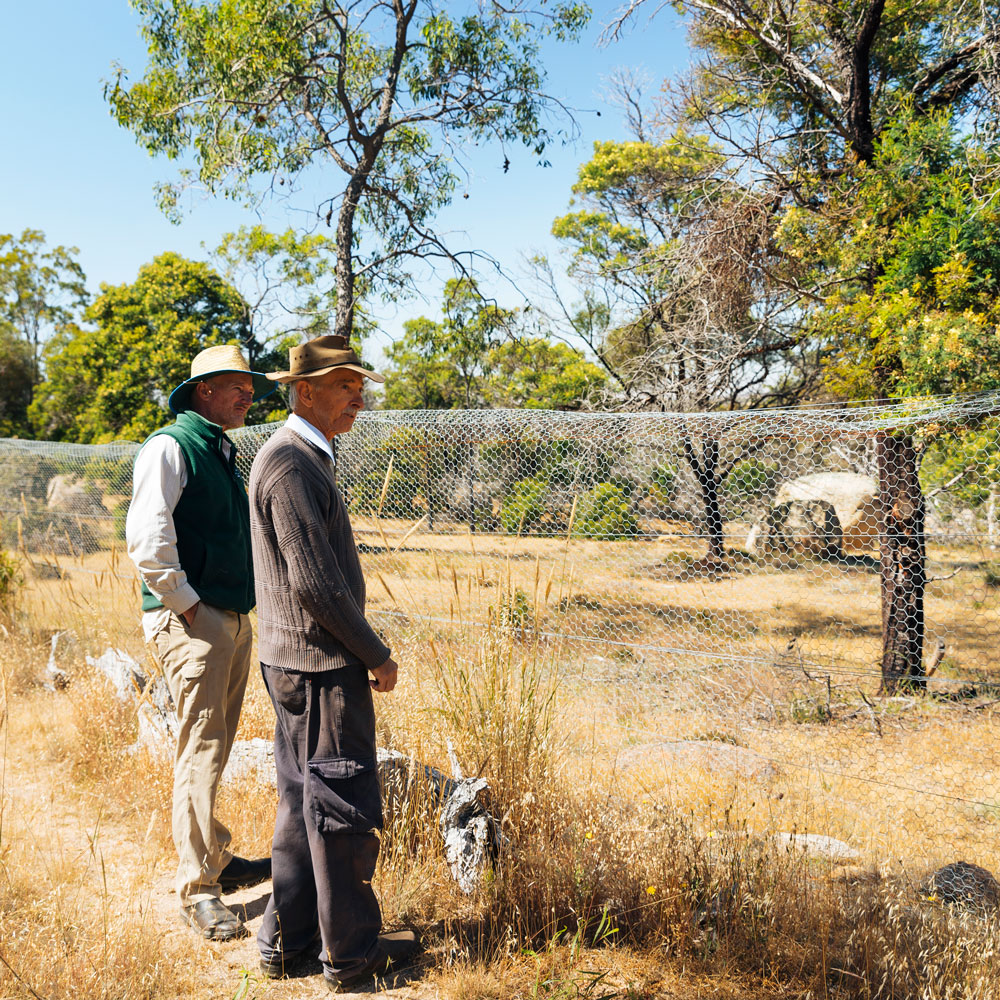 Lifecycle 03 planning